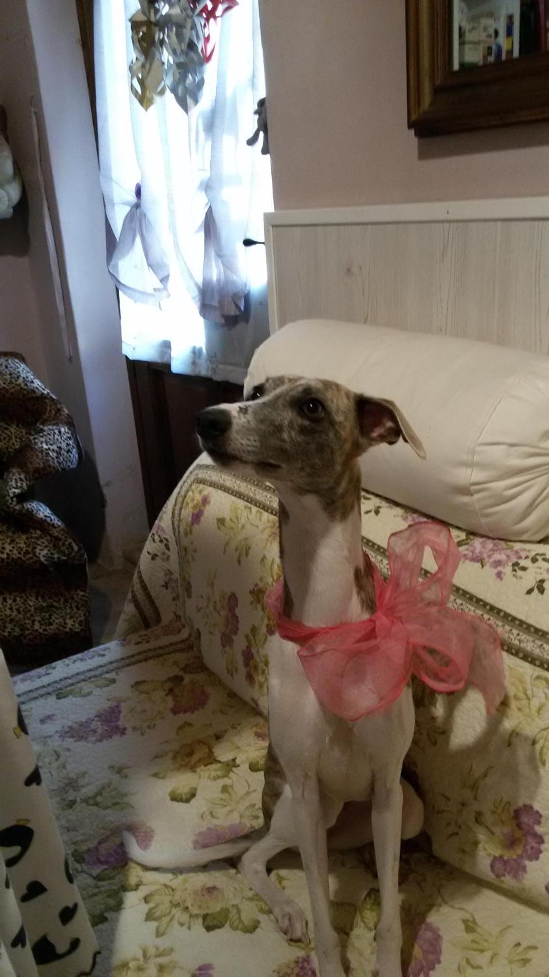 A Casa Di Susi Bed & Breakfast กัสเตลนูโอโว เดล การ์ดา ภายนอก รูปภาพ